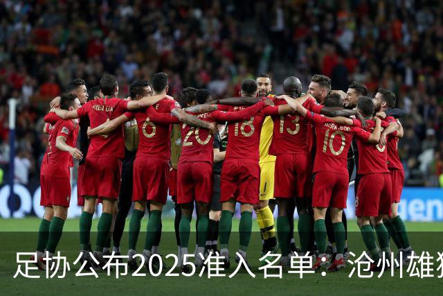 足协公布2025准入名单：沧州雄狮、广州队无缘